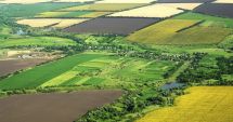 Județul din România unde terenul agricol a ajuns să se vândă cu 30.000 de euro/hectar