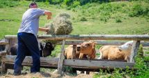 Stire din Social : Anunţ important de la APIA, pentru crescătorii de animale