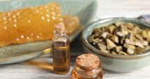 Stire din Sănătate : Tinctura de propolis este extrem de utilă în tratarea problemelor digestive