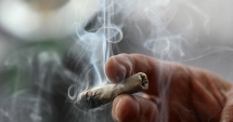 Stire din Eveniment : Tineri prinși fumând marijuana, în zona Casei de Cultură