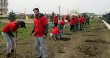 Stire din Politică-Administrație : Tinerii din PSD Cumpăna, participanți la o acțiune de ecologizare