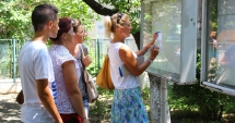 Stire din Cultură-Educație : Titularizarea disperării! 90 de profesori de limba română se bat pe două posturi