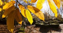 Stire din Actualitate : Meteorologii anunţă temperaturi peste cele obişnuite, până la jumătatea lui decembrie