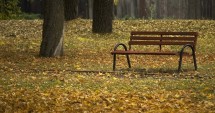 Stire din Social : ANM. Cum va fi vremea astăzi, la Constanța