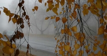 Stire din Social : ANM, PROGNOZA METEO PENTRU TREI LUNI. IATĂ CÂND VIN PLOILE ȘI CÂND SCAD TEMPERATURILE