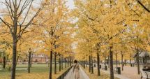 Stire din Social : ANM anunță cum va fi vremea până la începutul lui decembrie