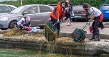 Stire din Social : Tone de gunoaie, adunate de voluntari pe Lacul Tăbăcărie