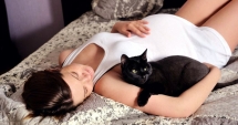 Atenție la pisici! Gravidele infectate cu toxoplasmoză pot naște copii cu probleme grave de sănătate