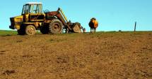 Stire din Economie : Idei de afaceri 2015. Fonduri europene pentru tineri