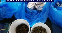 Stire din Eveniment : Traficant de droguri din Mangalia, prins cu sute de grame de substanțe interzise în mașină