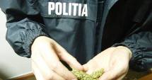 Stire din Eveniment : TRAFIC CU DROGURI, PRIN CURIERAT