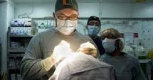 Stire din Sănătate : Descoperire revoluționară! Când va putea fi posibil transplantul de cap?