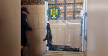 Stire din Eveniment : Captură uriașă la frontieră. Peste  șapte milioane de țigarete ascunse într-un transport aparent de citrice