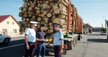 Stire din Eveniment : Transporturi  cu lemne  în condiții dubioase. Polițiștii constănțeni  au intrat pe fir