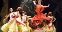 Stire din Cultură-Educație : "Traviata", la Teatrul "Oleg Danovski"