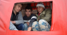 Stire din Eveniment : Imigranți din Afganistan, ascunși într-un TIR,  reținuți la Constanța
