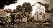 Stire din Cultură-Educație : Triplu eveniment dedicat Dobrogei, la Muzeul de Istorie