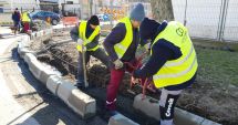 Stire din Social : Trotuarele din cartierul Palazu Mare, complet refăcute