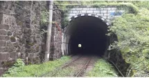 Stire din Actualitate : Beat și proaspăt eliberat din închisoare, un român a blocat trenurile de mare viteză în Germania