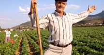 Stire din Economie : Turcii vor  să investească în agricultura românească