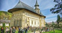 Stire din Social : România va adopta conceptul de "wine tourism"