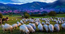 Stire din Actualitate : Ministrul Turismului anunță un nou program de promovare turistică a României