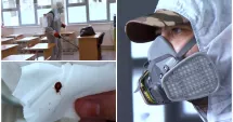 Stire din Actualitate : Probleme sanitare în școli. Ploșnițele și gândacii trimit elevii la cursuri online