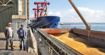 Stire din Economie : Ucraina - un jucător major pe piața cerealelor de la Marea Neagră