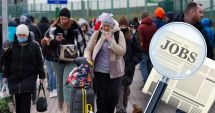 Stire din Social : Constanța, în topul județelor cu cei mai mulți ucraineni angajați în țară