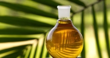 Stire din Sănătate : Consumați ulei de palmier? Ar putea cauza cancer