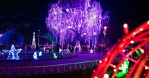 Stire din Eveniment : Ultimele spectacole la Festivalul iernii, în parcul Tăbăcărie