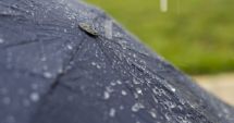 Stire din Social : PROGNOZA METEO pentru următoarele două săptămâni. Când scăpăm de ploi și vijelii
