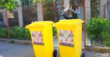 Stire din Social : Unde ajung pubelele galbene săptămâna aceasta, la Constanţa
