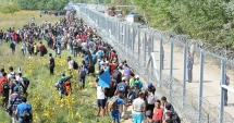 Stire din Actualitate : Ungaria a finalizat linia a doua a gardului la frontiera cu Serbia