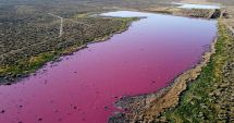 Stire din Actualitate : Un lac din Patagonia s-a făcut roz peste noapte