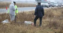 Stire din Eveniment : Descoperire macabră într-o curte din județul Constanța