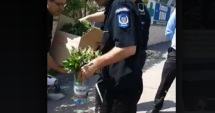 Stire din Eveniment : "Localii" din Constanța, făcuți praf de polițiști: "Este necesar să reveniți la titulatura de gardieni publici" / VIDEO