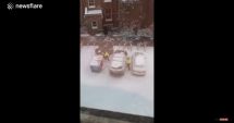 Stire din Actualitate : VIDEO. "Antrenament special!" TREI POLIȚIȘTI, surprinși în timp ce se băteau cu zăpadă