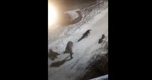 Stire din Social : ATENȚIE, SCENE TERIBILE! Femeie atacată de câini în fața blocului - VIDEO