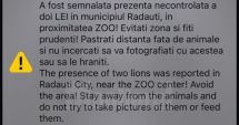 Stire din Eveniment : RO-ALERT pe telefoanele românilor, după ce doi lei de la zoo au fost scăpați din cușcă!