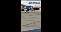 Stire din Eveniment : Scene șocante pe Aeroportul Otopeni! O femeie cu un copil mic în braţe a încercat să prindă avionul din mers