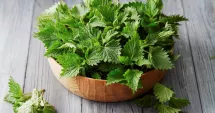 Stire din Sănătate : Urzica, planta miraculoasă pentru diabet, dureri articulare și anemie