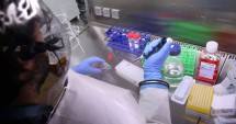 Stire din Sănătate : Sute de mii de vaccinuri împotriva EBOLA ar putea fi distribuite în 2015