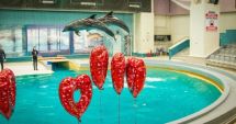 Stire din Social : CMSN Constanța vă invită să petreceți Valentine’s Day în cadrul Complexului Muzeal