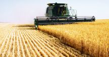 Stire din Economie : Valoarea producției agricole a crescut semnificativ în anul 2018