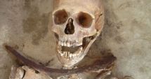 Stire din Social : Scheletul unui soldat român din Primul Război Mondial, descoperit într-o pădure din Vrancea