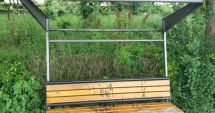 Stire din Social : Primăria Constanţa face apel la cetăţeni să nu mai vandalizeze mobilierul stradal