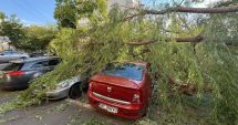 Stire din Eveniment : O femeie a ajuns la spital din cauza unui copac prăbușit de vântul putermic
