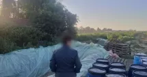 Stire din Eveniment : Opt tone de varză murată, distruse după un control. Erau depozitate în gropi săpate în pământ