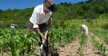 Stire din Actualitate : Proiect de modificare a legii pensiilor. S-ar repara o nedreptate socială